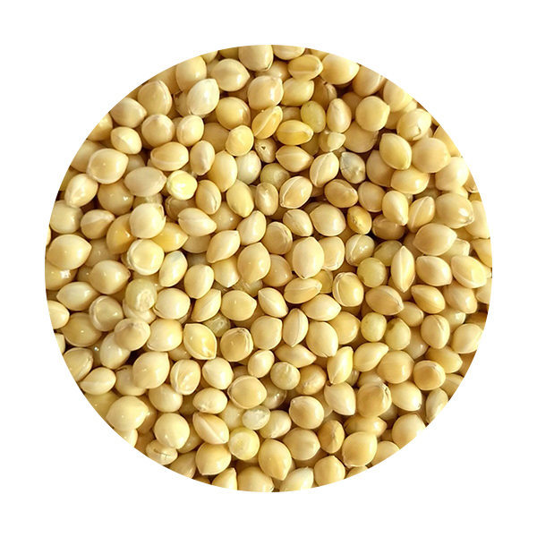 Milho Alvo 800Gr