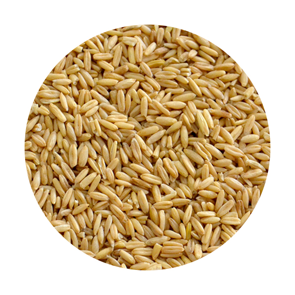 Aveia Descascada 4Kg
