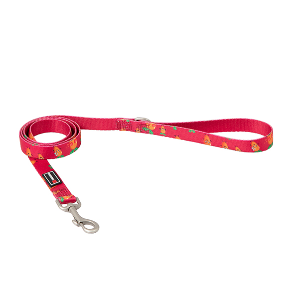 Trela Carrot 10Mm X 120Cm - 10Mm X 120 Cm