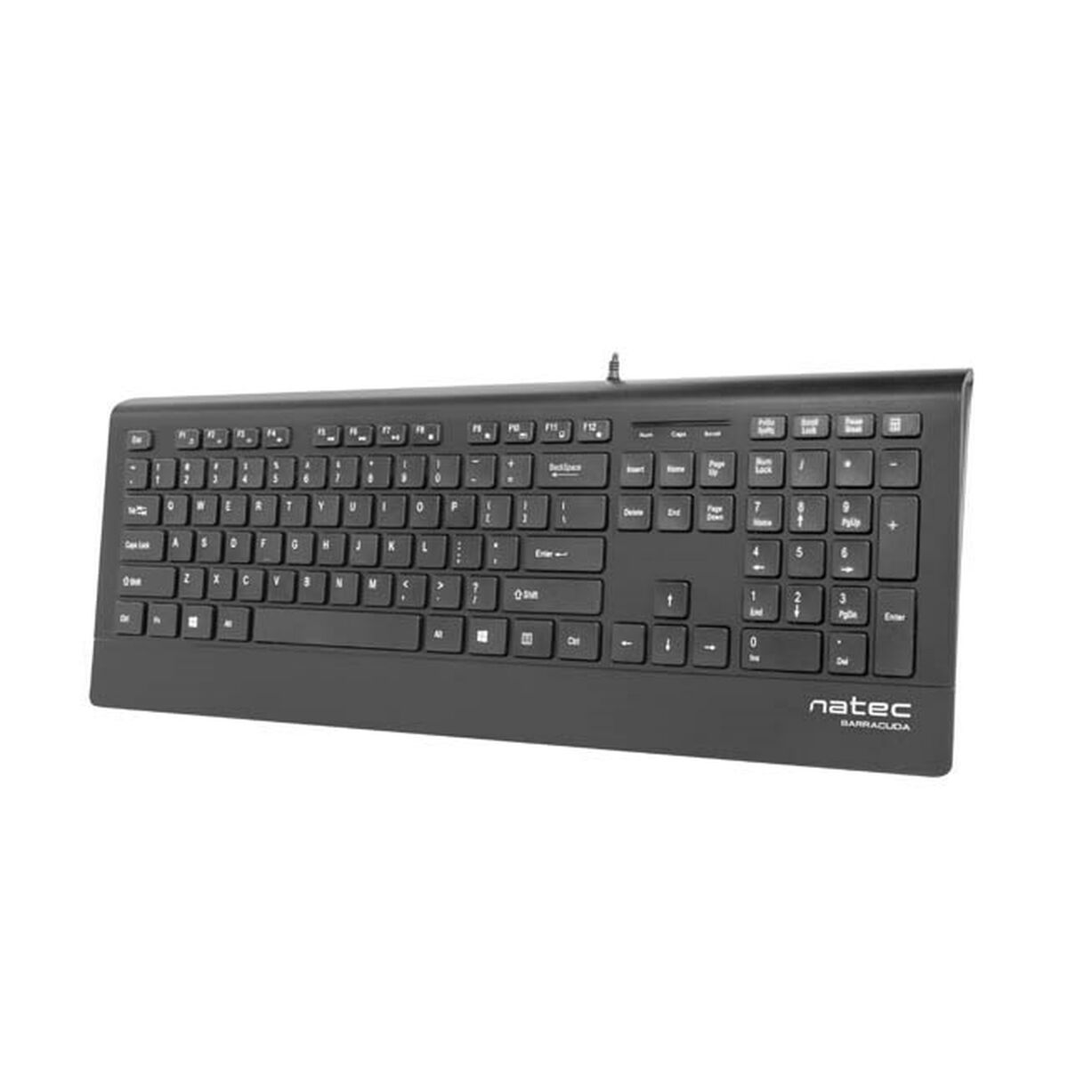 Teclado Natec NKL-0876 Preto