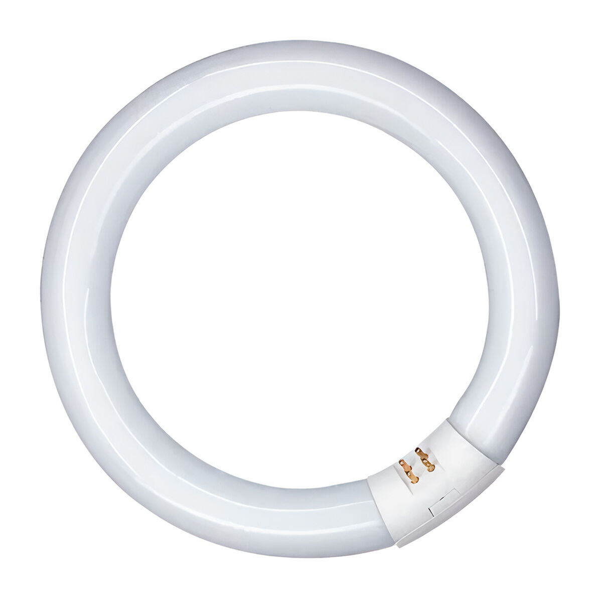 Tubo fluorescente Patron 20 W G10Q (6400 K)